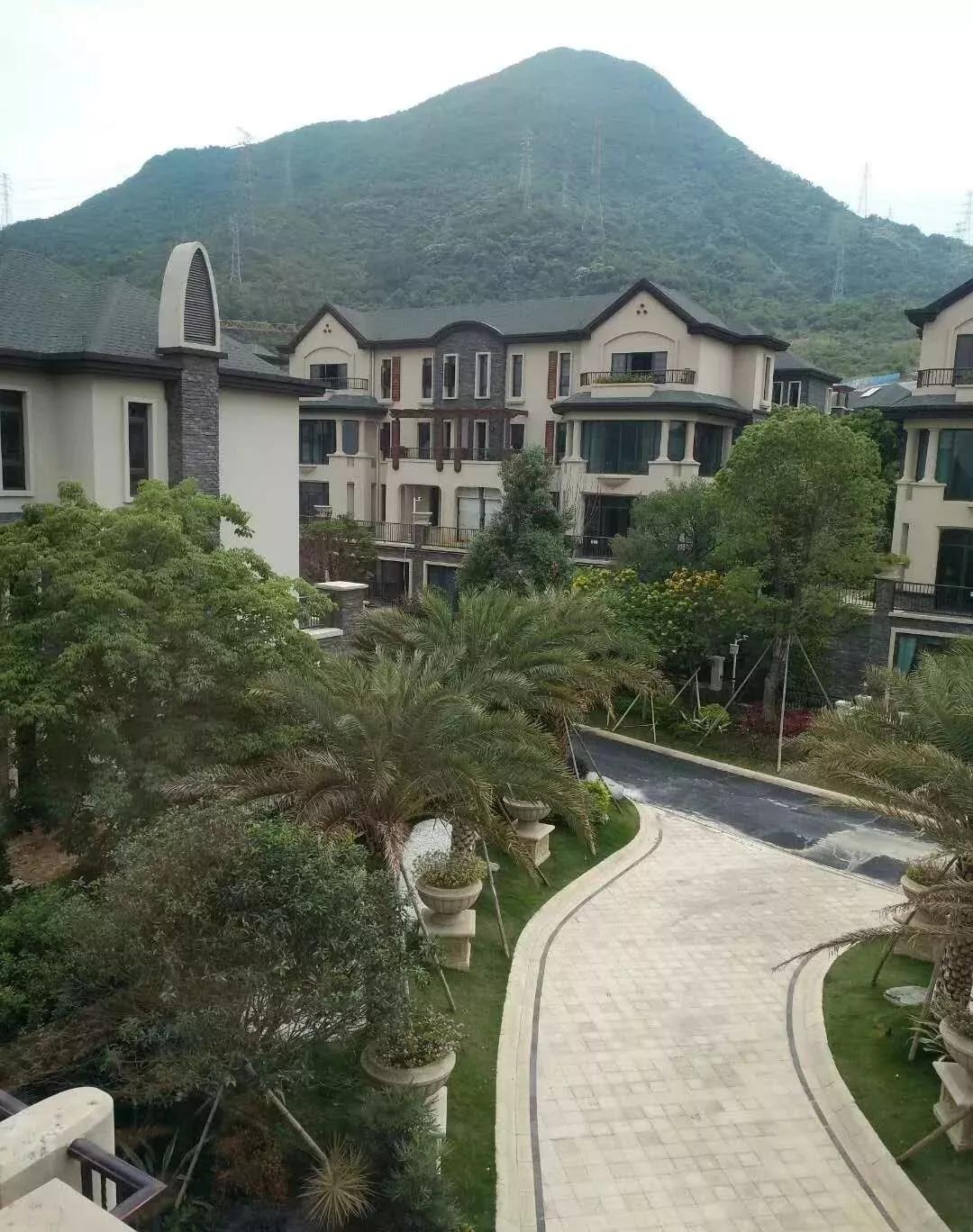 艳文阁最新地址揭秘,深入探索未知内容
