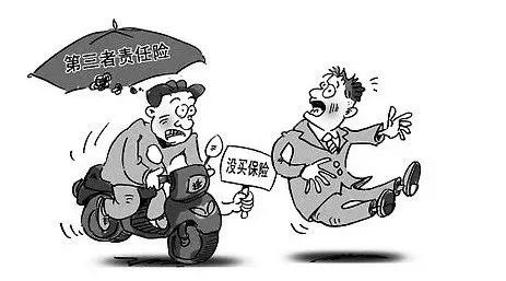 责任保险行业动态,最新消息与变革发展趋势
