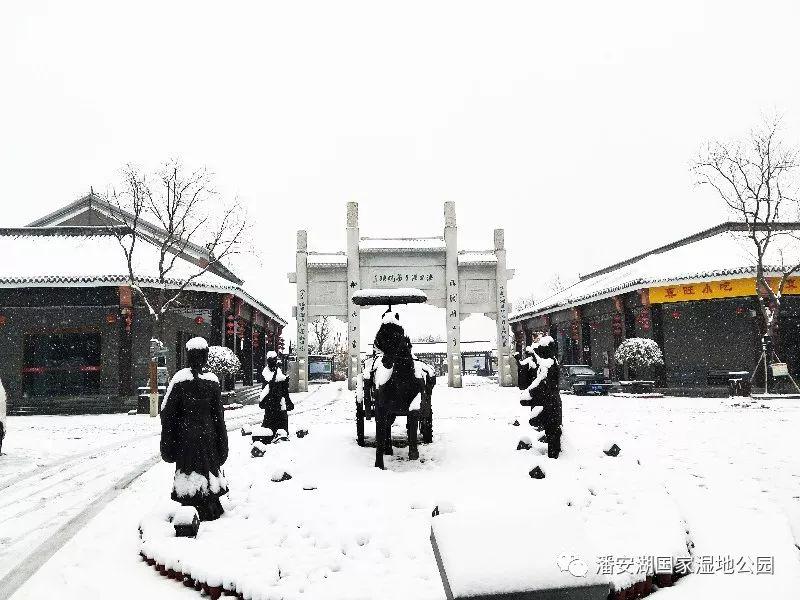 江苏徐州雪落美景,雪飘如诗如画