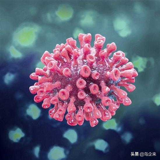 新疆新冠病毒疫情最新情况报告,最新数据与动态分析